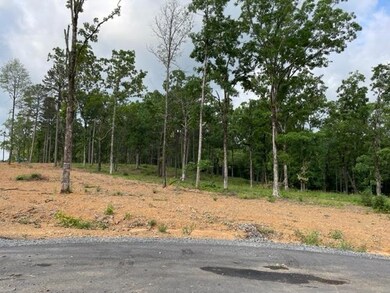 0 Orchard Hill Lot 4 Ph 3 unit 22017228, Conway, AR 72034 - photo 6