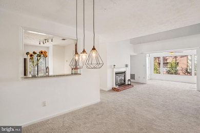 2203 Hunters Run Dr, Reston, VA 20191 - photo 3