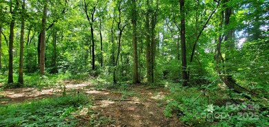 3929 U S Highway 64 unit 7, Mocksville, NC 27028 - photo 4