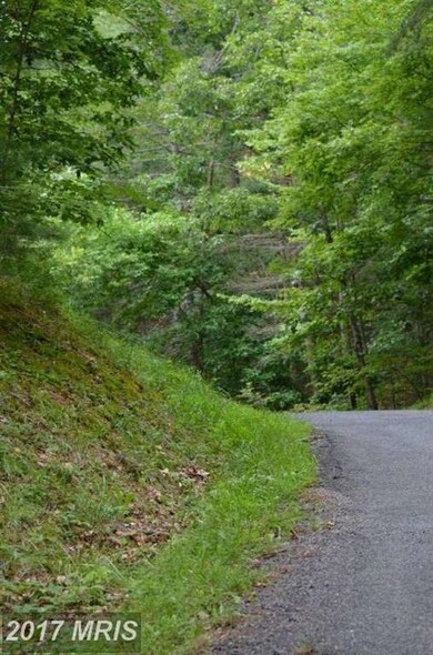 0 Lee Rd unit 1002574514, Basye, VA 22810 - photo 4