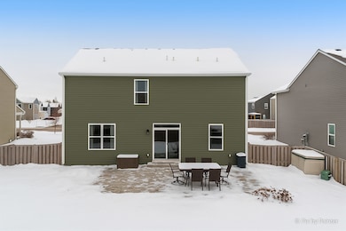 1482 Hollow Tree Ln, Hampshire, IL 60140 - photo 5