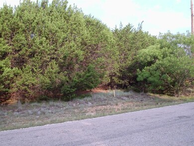 17139 Woodlawn Dr, Whitney, TX 76692 - photo 3