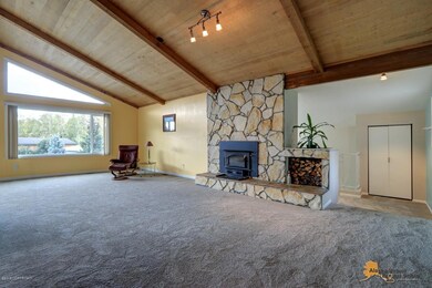 Wood Stove Insert in Fireplace