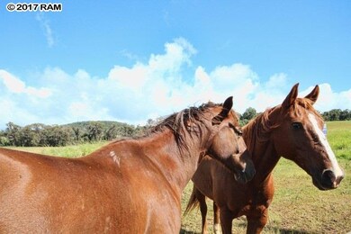 1 Paholei Rd, Makawao, HI 96768 - photo 4