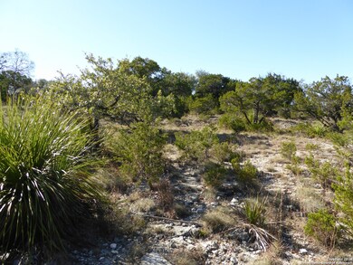 27010 Shady Run, Fair Oaks, TX 78006 - photo 5