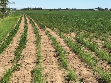 0 Devils Hole Rd unit 20192020, Pemberville, OH 43450 - photo 6