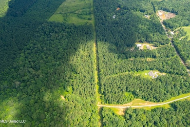 0 Antioch Shiloh Rd, Pelahatchie, MS 39145 - photo 4