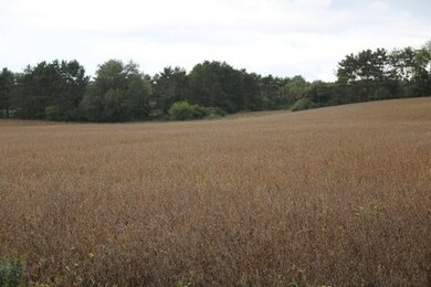 20 AC Whalen Rd, Madison, WI 53711 - photo 4