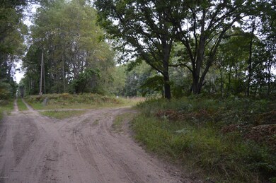 Road splits to railroad