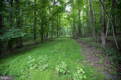 0 Pioneer Ln unit 1001901964, Boyce, VA 22620 - photo 3