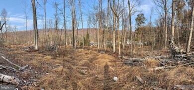 1738 Mount Laurel Rd, Temple, PA 19560 - photo 7