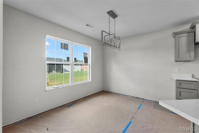 5355 Byrd Creek Trail, Jackson, MO 63755 - photo 7