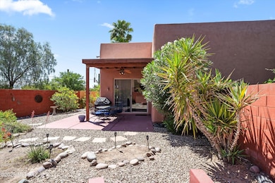 Desert landscaping