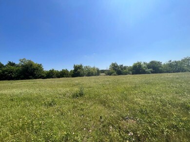 Field and some trees