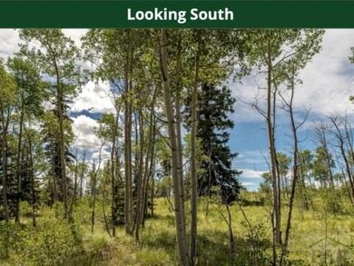 520 Rawhide Dr, Como, CO 80432 - photo 5