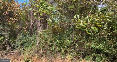 LOTS 23 & 25 Worlds End Ln, Linden, VA 22642 - photo 3