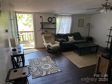 60 Velvet Ridge Ln, Asheville, NC 28806 - photo 4