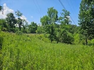 One Possible Building Site