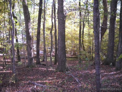 L.22&23 Pebble Creek Cir, Ozark, AL 36360 - photo 5