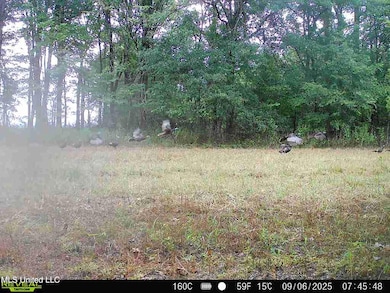 0 Curtis Rd unit 4105556, Batesville, MS 38606 - photo 4