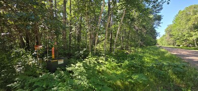 tbd Cedar St, Breezy Point, MN 56472 - photo 5