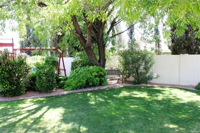 Sitting area under large shade tree