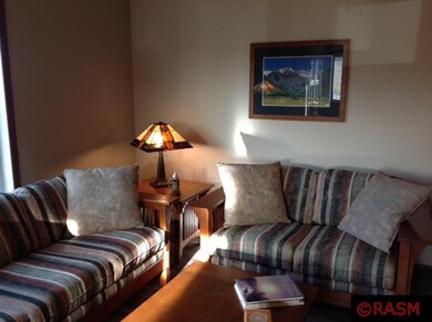 1314 Birchwood Dr, New Ulm, MN 56073 - photo 4