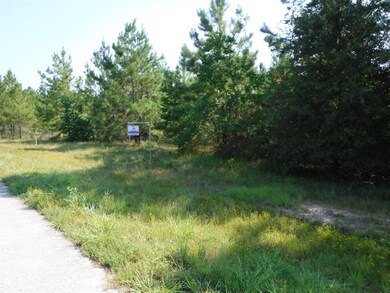 2064 White Buck Ct, Cleveland, TX 77328 - photo 5