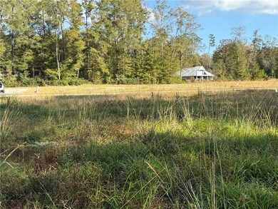 43439 Springwood Way, Hammond, LA 70403 - photo 4