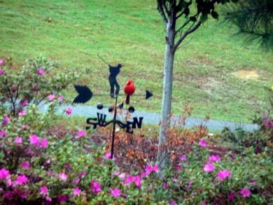 Birdies everywhere