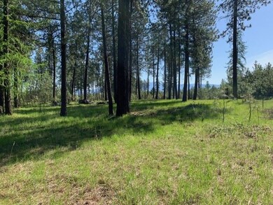 XXXX N Hatch Ln, Spokane, WA 99005 - photo 6