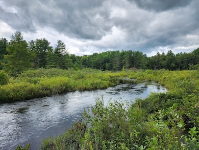 17 Blanchard Dr, Diana Center, NY 13648 - photo 2