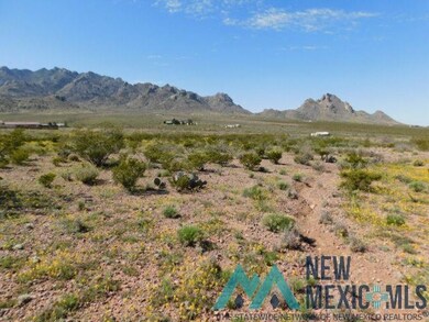 0 San Mateo Rd unit 20231657, Deming, NM 88030 - photo 2