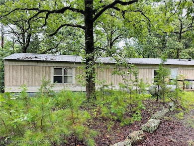 9120 Hobbtown Rd, Rudy, AR 72952 - photo 3