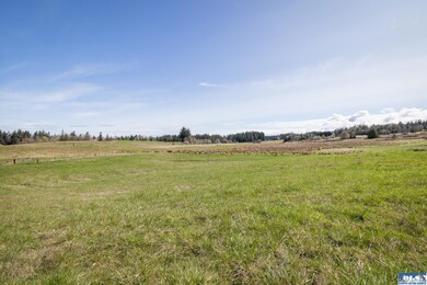 9999 Deer Park Rd, Port Angeles, WA 98362 - photo 6