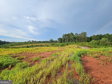 TRACT 2 THORNTO Thornton Dr, Elberton, GA 30635 - photo 4