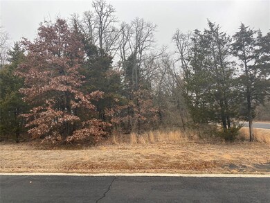 106A Stonewolf Ct, Gordonville, TX 76245 - photo 3