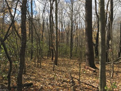 4 N Bissell Rd, Aurora, OH 44202 - photo 5