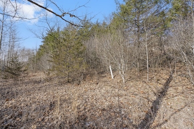 142/143 Country Ridge Way, Branson, MO 65616 - photo 6