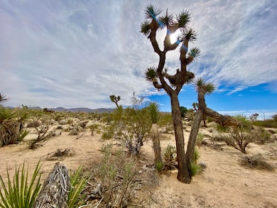 6925 Sunnyhill Rd, Joshua Tree, CA 92252 - photo 3