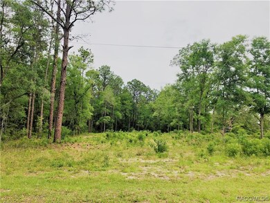 00 SW 189th Ave, Dunnellon, FL 34432 - photo 4