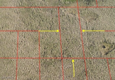 Access Undetermined- E Terry St, Bonita Springs, FL 34135 - photo 2