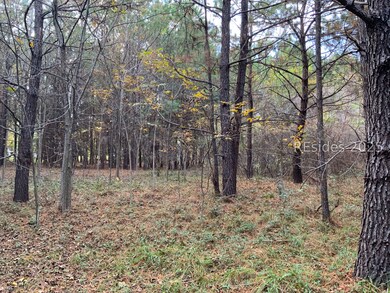 37 Pearl Harbor Dr, Saint Helena Island, SC 29920 - photo 3