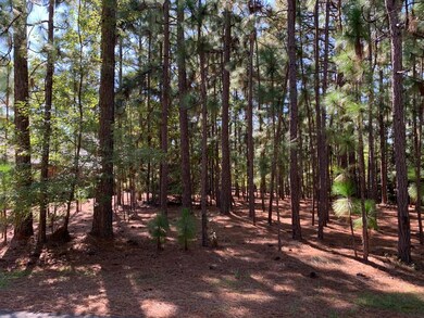Pinyon Cir