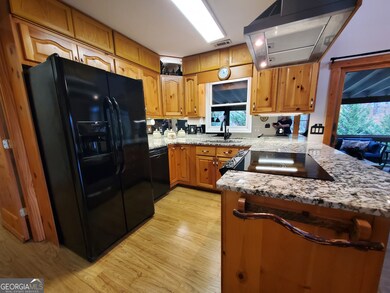 171 Mohawk Trail, Ellijay, GA 30540 - photo 6