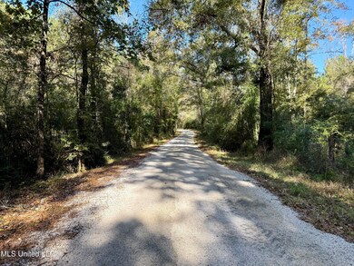 1088 Freeman Rd, Magnolia, MS 39652 - photo 2