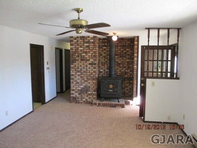 460 NE Daisy Ct, Cedaredge, CO 81413 - photo 2