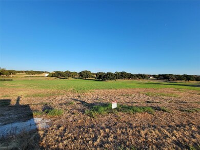 4004 Margaret's Meadow, Weatherford, TX 76087 - photo 3