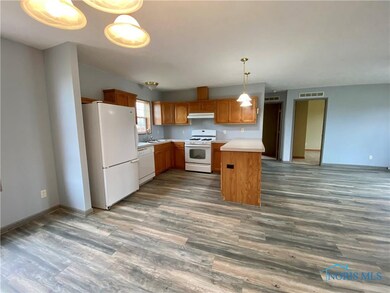 6301 N Elliston Trowbridge Rd, Martin, OH 43445 - photo 6