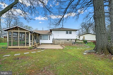 4400 Bestor Dr, Rockville, MD 20853 - photo 5